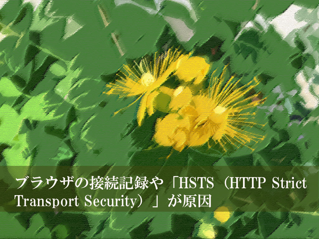 ブラウザの接続記録や「HSTS（HTTP Strict Transport Security）」が原因