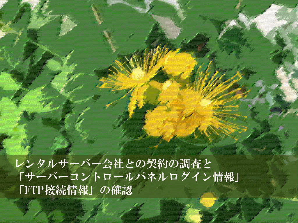 レンタルサーバー会社との契約の調査と「サーバーコントロールパネルログイン情報」や「FTP接続情報」の確認