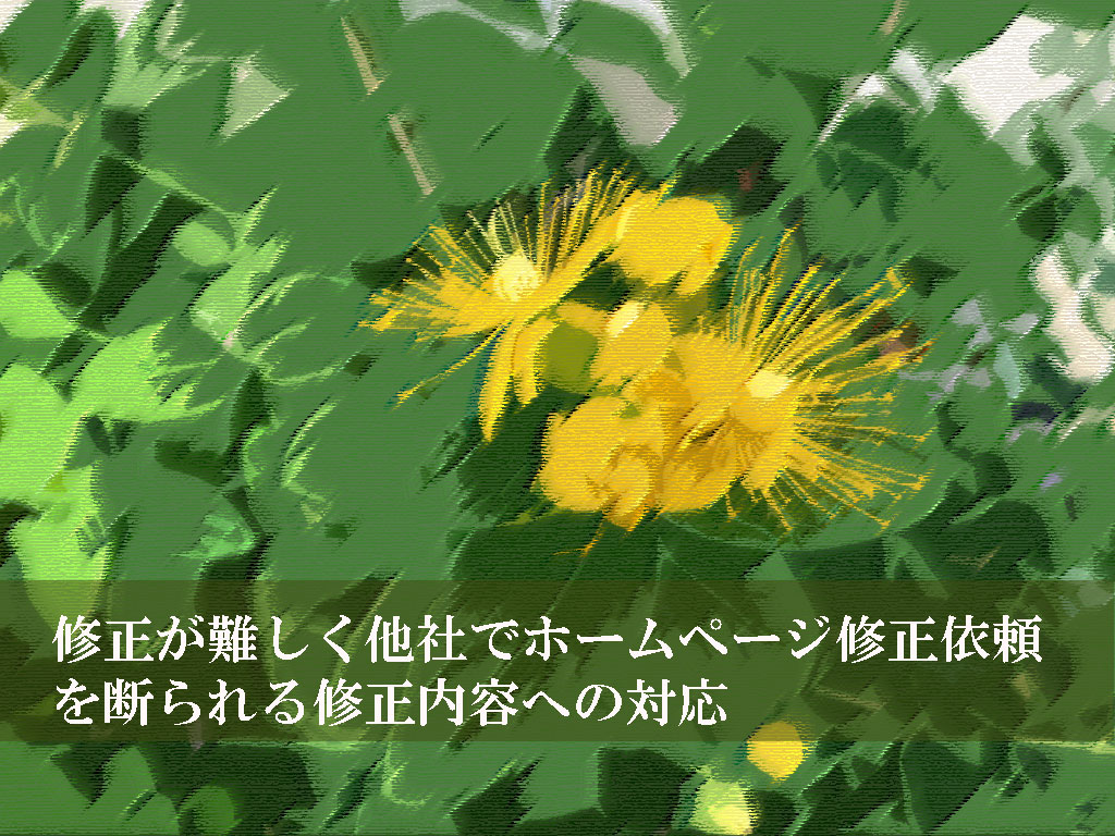 修正が難しく他社でホームページ修正依頼を断られる修正内容への対応