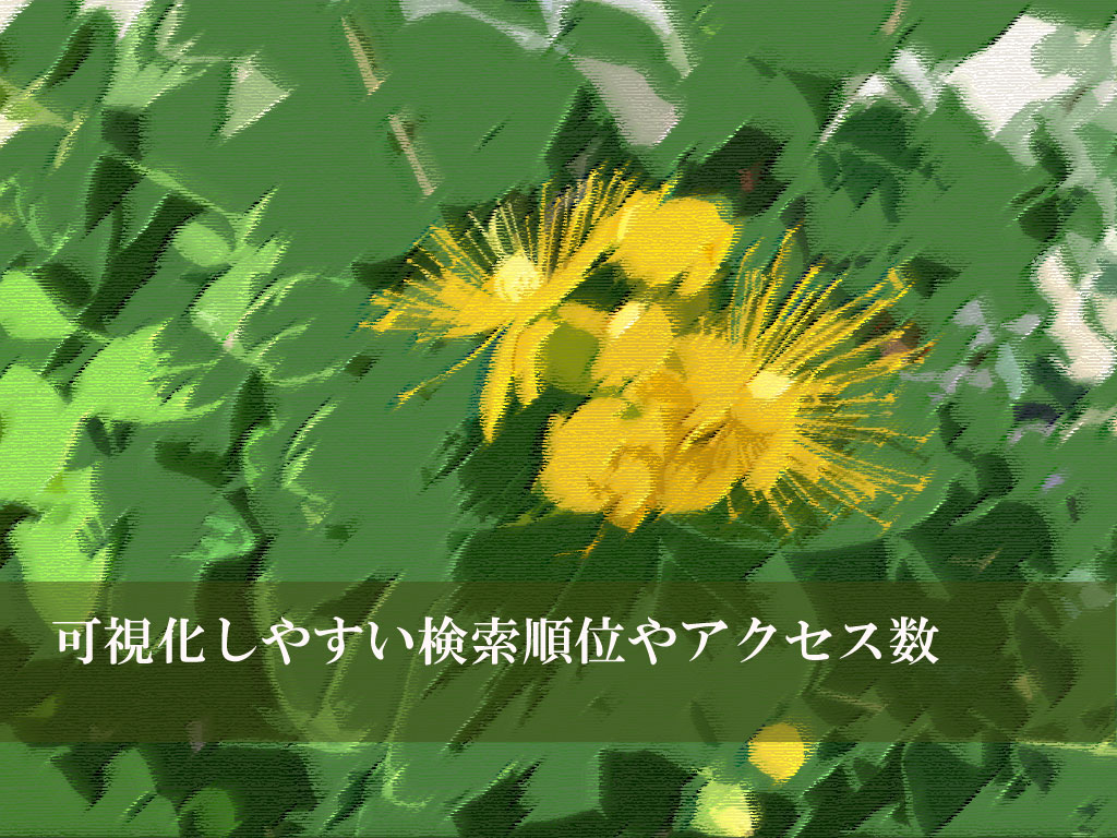 可視化しやすい検索順位やアクセス数