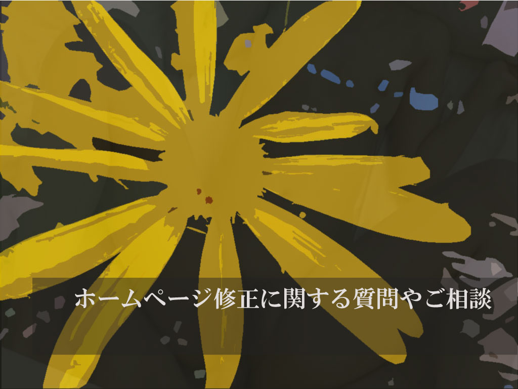 ホームページ修正に関する質問やご相談