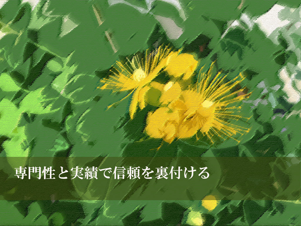 専門性と実績で信頼を裏付ける