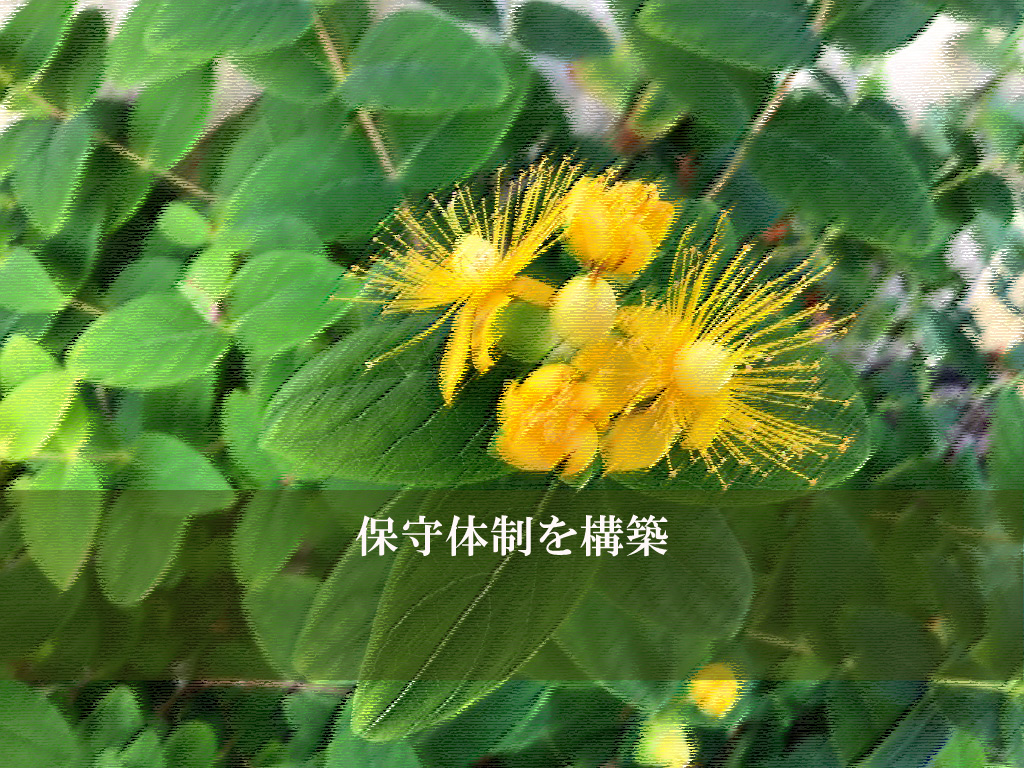 保守体制を構築