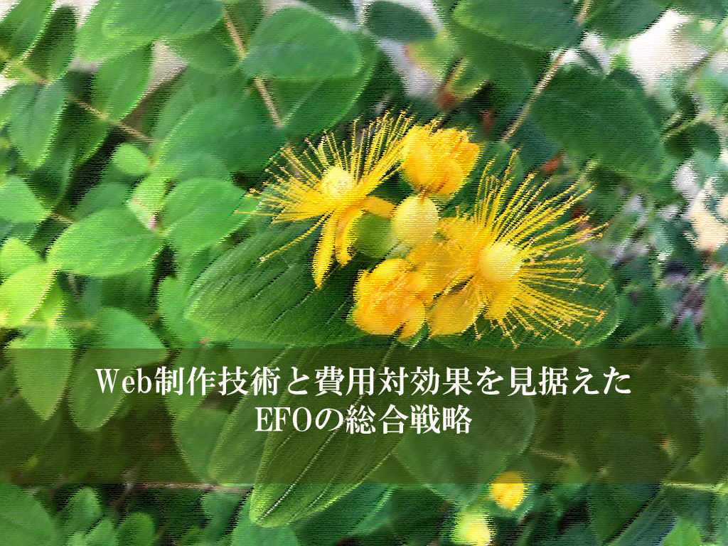 Web制作技術と費用対効果を見据えたEFOの総合戦略